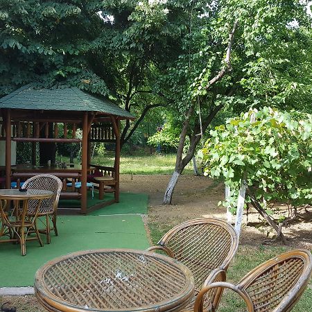 Хостел Casa Boiereasca Крайова Экстерьер фото