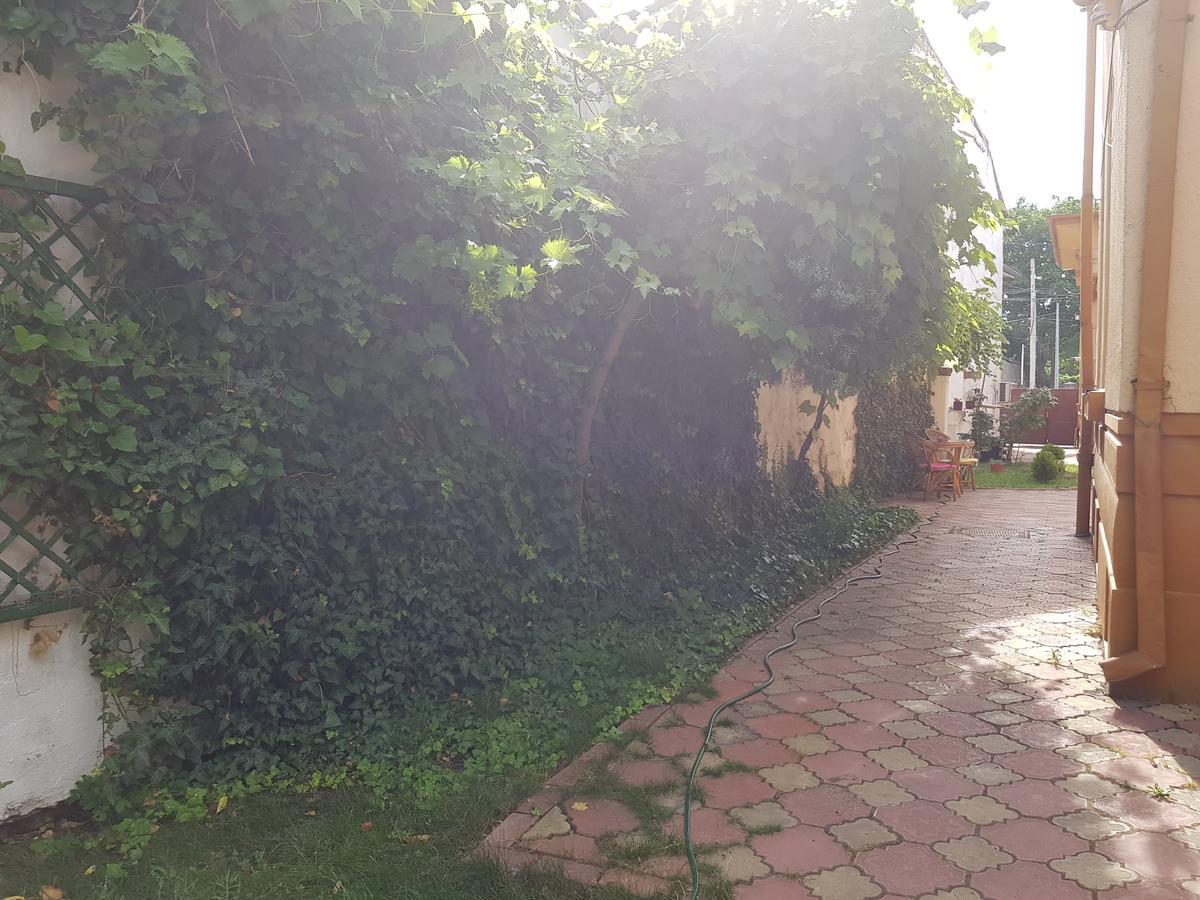 Хостел Casa Boiereasca Крайова Экстерьер фото